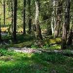 Luggwirt Gnesau