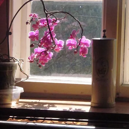 Luggwirt Guest house