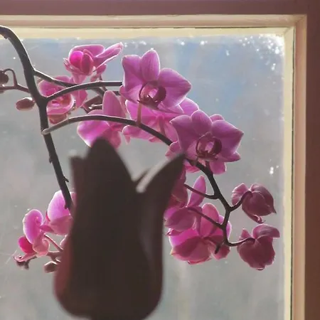 Gasthuis Luggwirt 3*