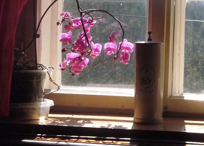 Luggwirt בית הארחה