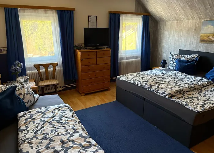 拉格维特旅馆 3*