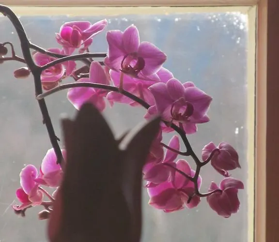 בית הארחה Luggwirt 3*